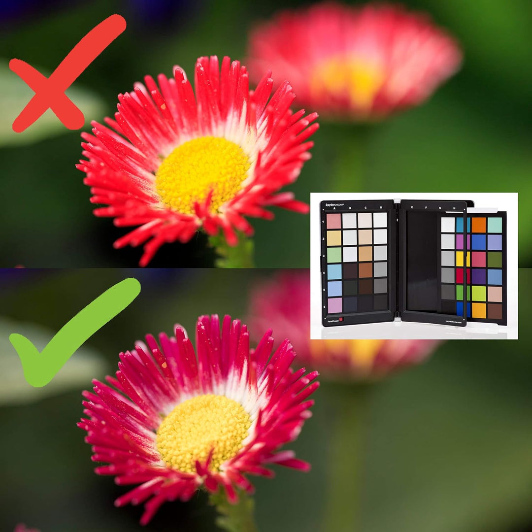 Datacolor SpyderX Capture Pro: Das ultimative Farbmanagement-Toolkit von der Aufnahme bis zur Bildbe