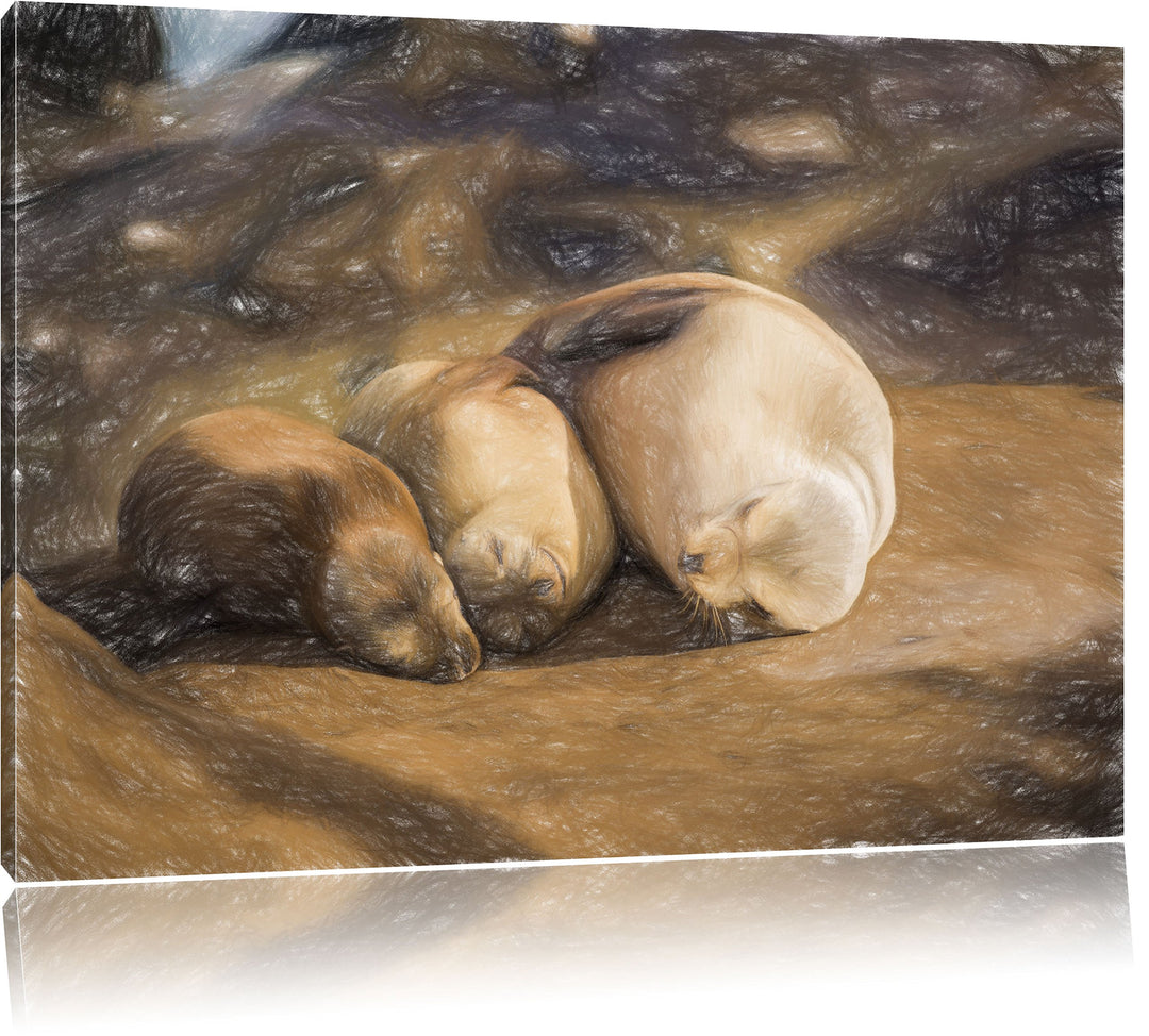 Pixxprint Familie Seelöwen in der Sonne als Leinwandbild/Grösse: 100x70 / Wandbild/Kunstdruck/fertig