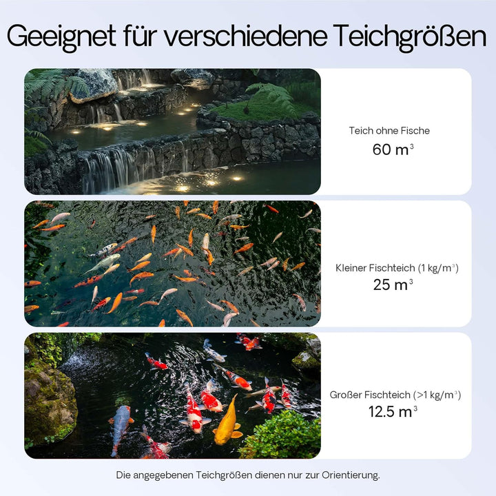 SunSun Filter Set 60000l Teich 24W Teichklärer NEO10000 80W Pumpe