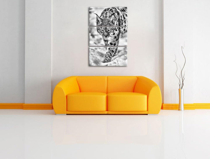 Pixxprint wachsamer Luchs im Schnee als Leinwandbild/Grösse: 3 Teilig (120x80) cm/Wandbild/Kunstdruc