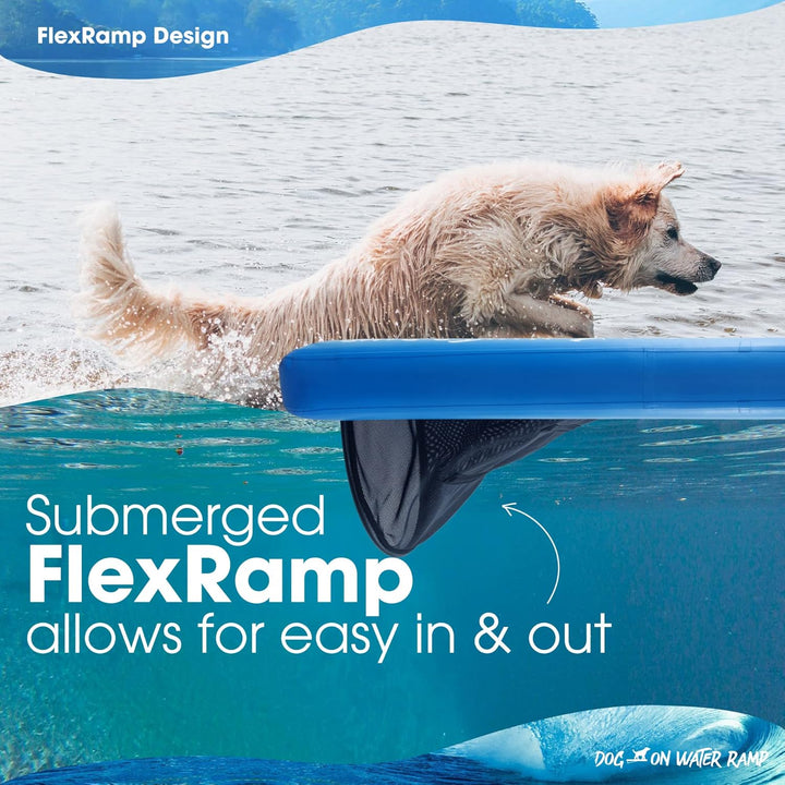 Rampe für Hunde, Boot, Dock oder Pool. Ermöglicht es Ihrem Hund, leicht aus dem Wasser zu klettern,