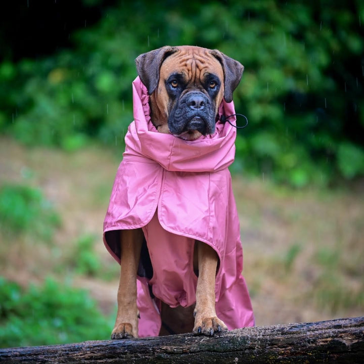 Spark Paws Hunderegenmantel, wasserdichte Winddichte Regenjacke, für kleine, mittlere, grosse und ex