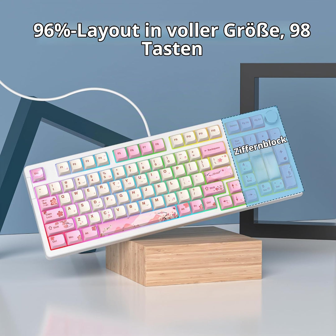 SOLIDEE Verkabelte 95% Mechanische Gaming-Tastatur,Hot-Swap-Fähige Mechanische Tastaturs,Gasket Stru