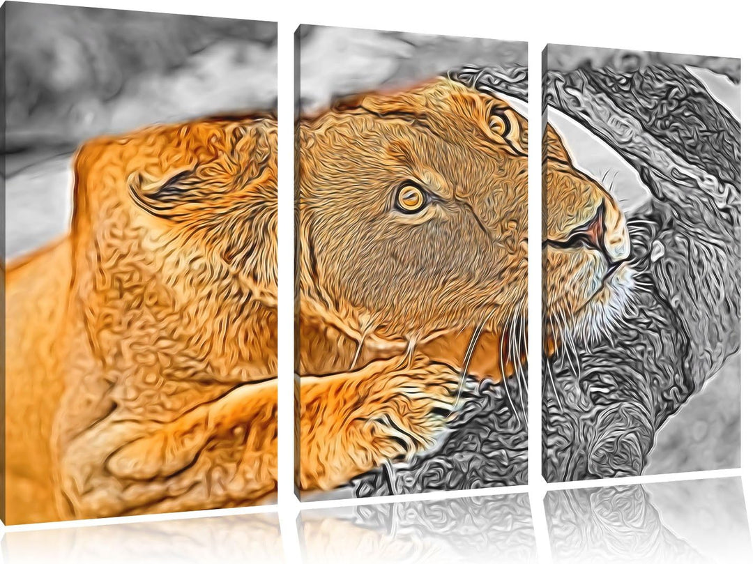 listige Löwin schwarz/weiss Deluxe 3-Teiler Leinwandbild 120x80 Bild auf Leinwand, XXL riesige Bilde