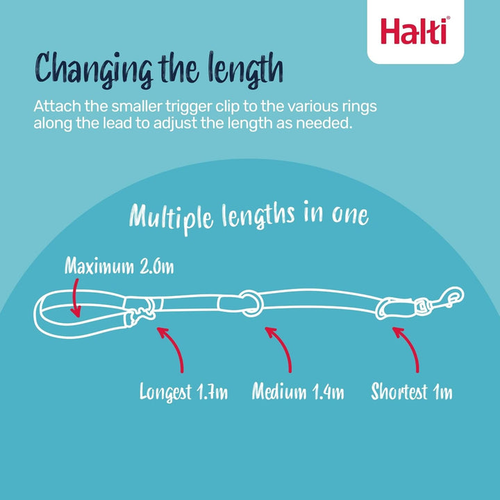 Halti Optifit Halfter und Trainingsleine Kombipack, Stop Dog Pulling on Walks with Halti, inklusive