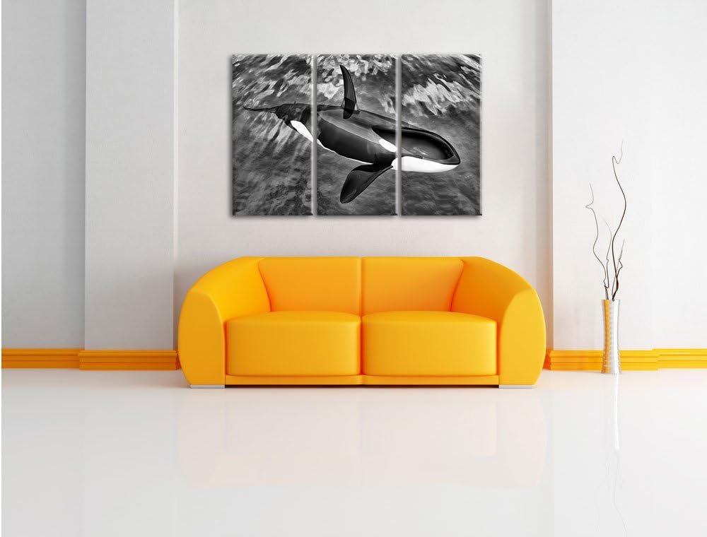 Pixxprint Monocrome, Orca im blauen Meer 3-Teiler Leinwandbild 120x80 Bild auf Leinwand
