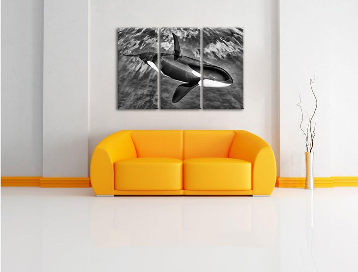 Pixxprint Monocrome, Orca im blauen Meer 3-Teiler Leinwandbild 120x80 Bild auf Leinwand