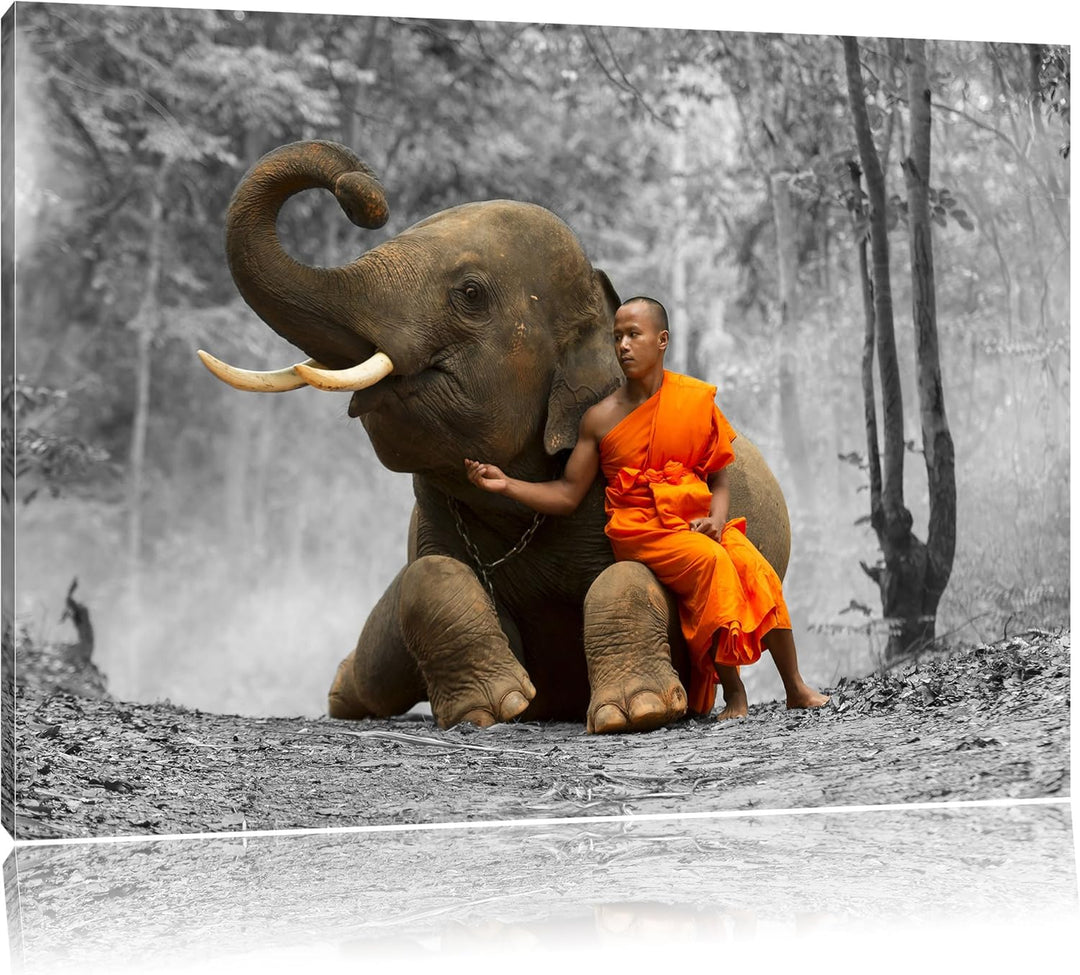 Pixxprint Mönch mit Elefanten im Wald als Leinwandbild | Grösse: 100x70 cm | Wandbild | Kunstdruck |
