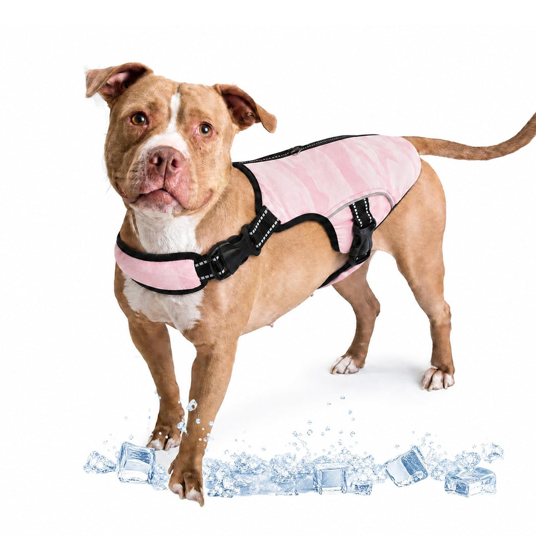 Kühlweste für Hunde, heisses Wetter, Wärmeableitung, atmungsaktive Netz-Hundejacke, Sommer, kühl, ve
