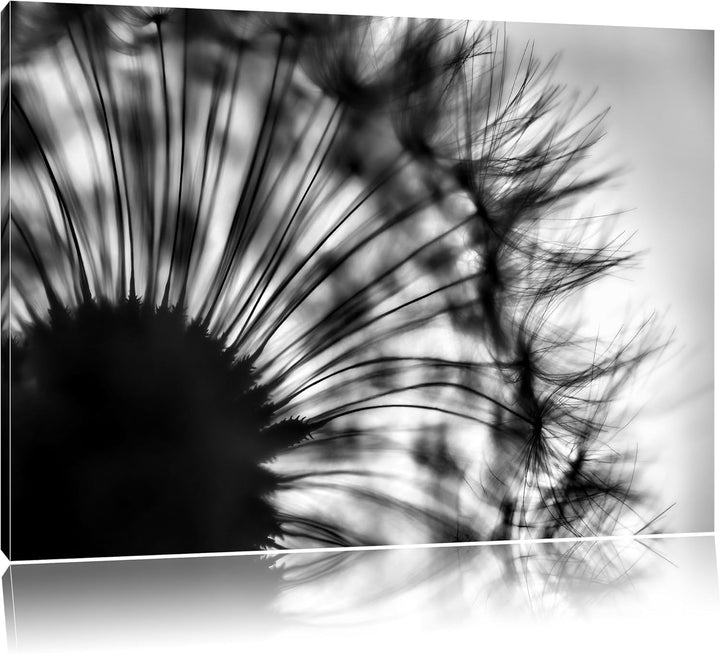 Pixxprint Monocrome, Pusteblume vor grauem Hintergrund, Format: 100x70 auf Leinwand, 100x70