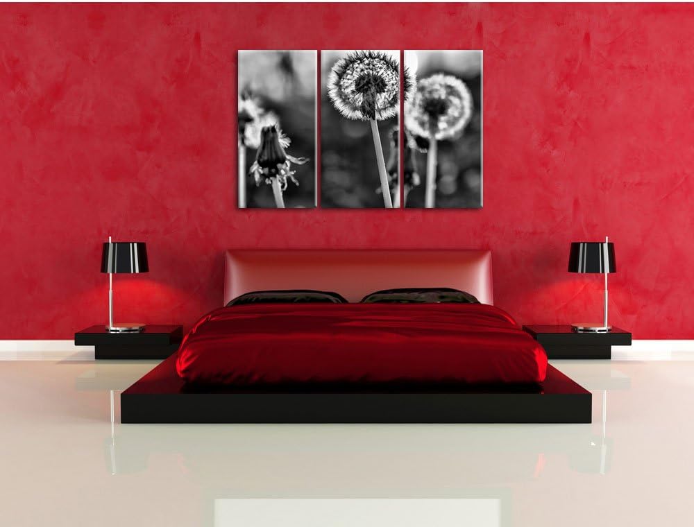 Pixxprint Pusteblume als Leinwandbild/Grösse: 3 Teilig (120x80) cm/Wandbild/Kunstdruck/fertig bespan