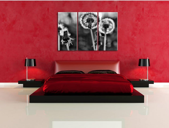 Pixxprint Pusteblume als Leinwandbild/Grösse: 3 Teilig (120x80) cm/Wandbild/Kunstdruck/fertig bespan