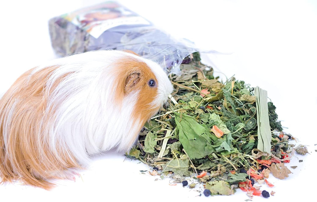 grünhopper Guinea Pig 4 kg 4 kg (1er Pack), 4 kg (1er Pack)