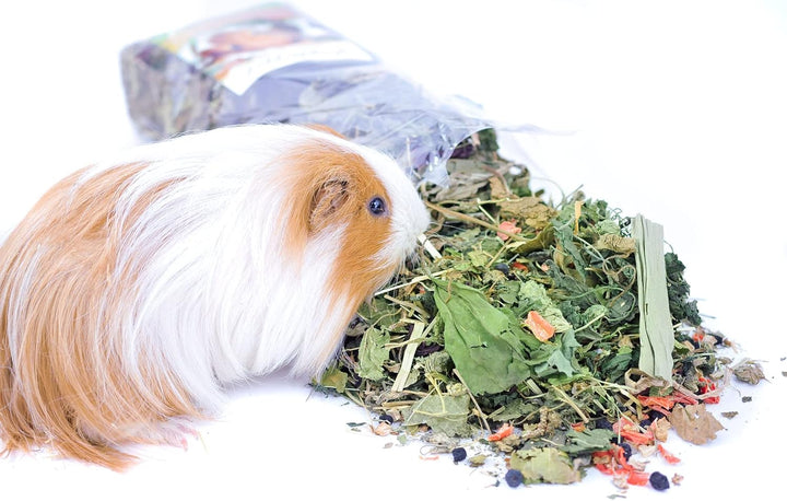 grünhopper Guinea Pig 4 kg 4 kg (1er Pack), 4 kg (1er Pack)