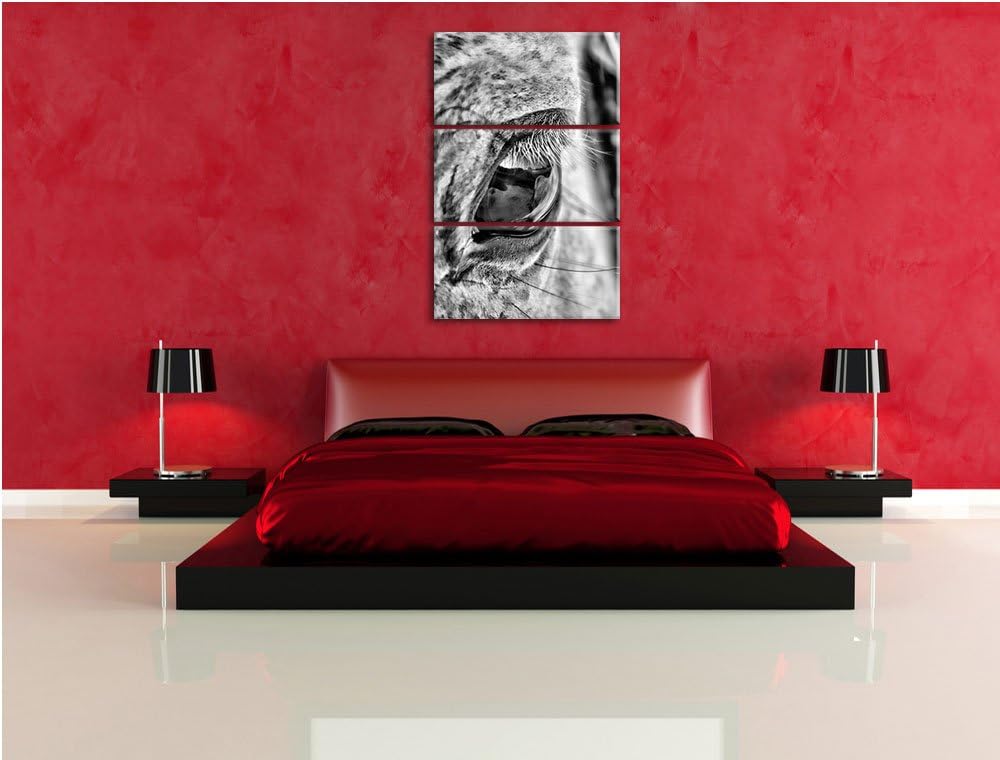 Pixxprint schöne grosse Pferdeaugen als Leinwandbild | Grösse: 3 Teilig (120x80) | Wandbild| Kunstdr