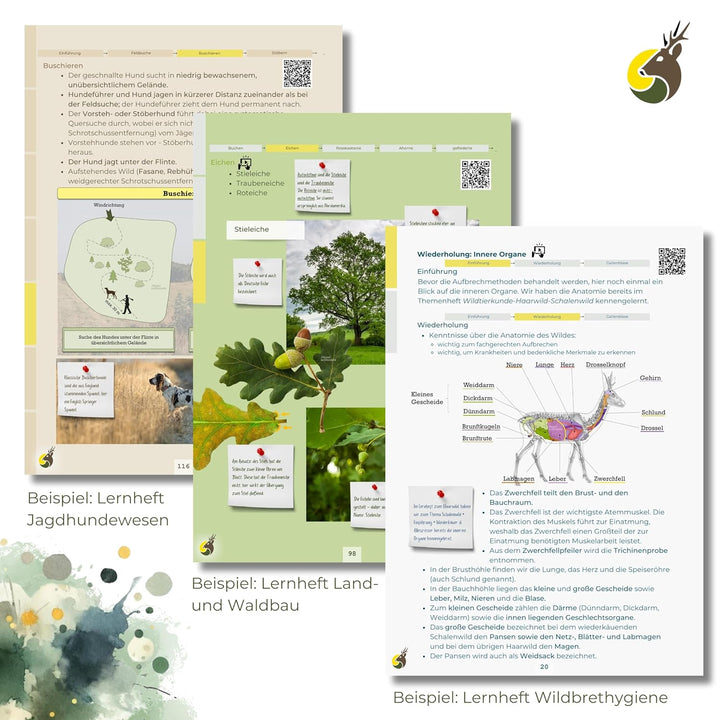Jägerschmiede Lernhefte: Erfolgreich die Jagdprüfung bestehen & sicher zum Jagdschein – individuell,