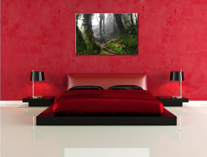 Pixxprint Tropischer La Selva Dschungel als Leinwandbild/Grösse: 100x70 / Wandbild/Kunstdruck/fertig
