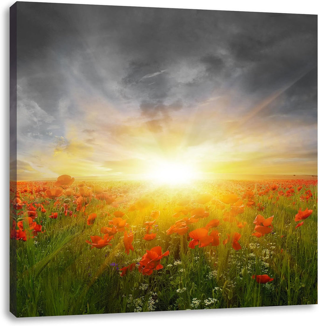 Pixxprint Mohnwiese in der Sonne / 70x70cm Leinwandbild bespannt auf Holzrahmen/Wandbild Kunstdruck