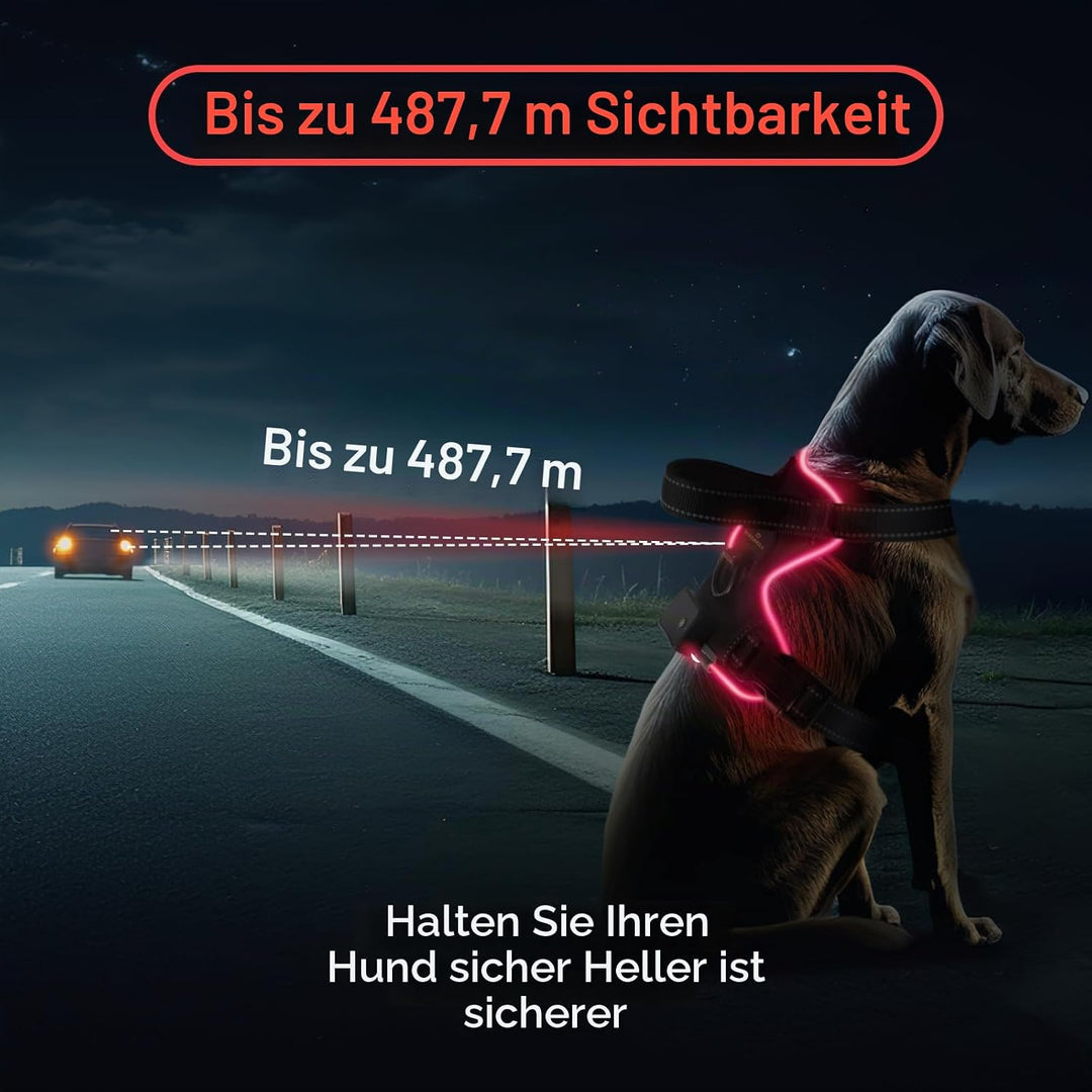 MASBRILL Hundegeschirr Leuchtend Aufladbar, LED Hundegeschirr Verstellbar Reflektierend mit Griff, W