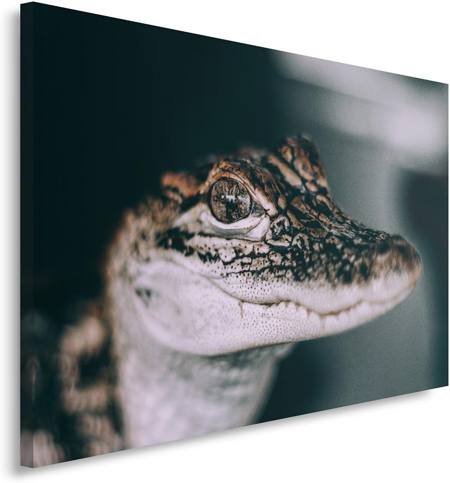 Feeby. Wandbild - 1 Teilig - 70x100 cm, Leinwand Bild Leinwandbilder Bilder Wandbilder Kunstdruck, K