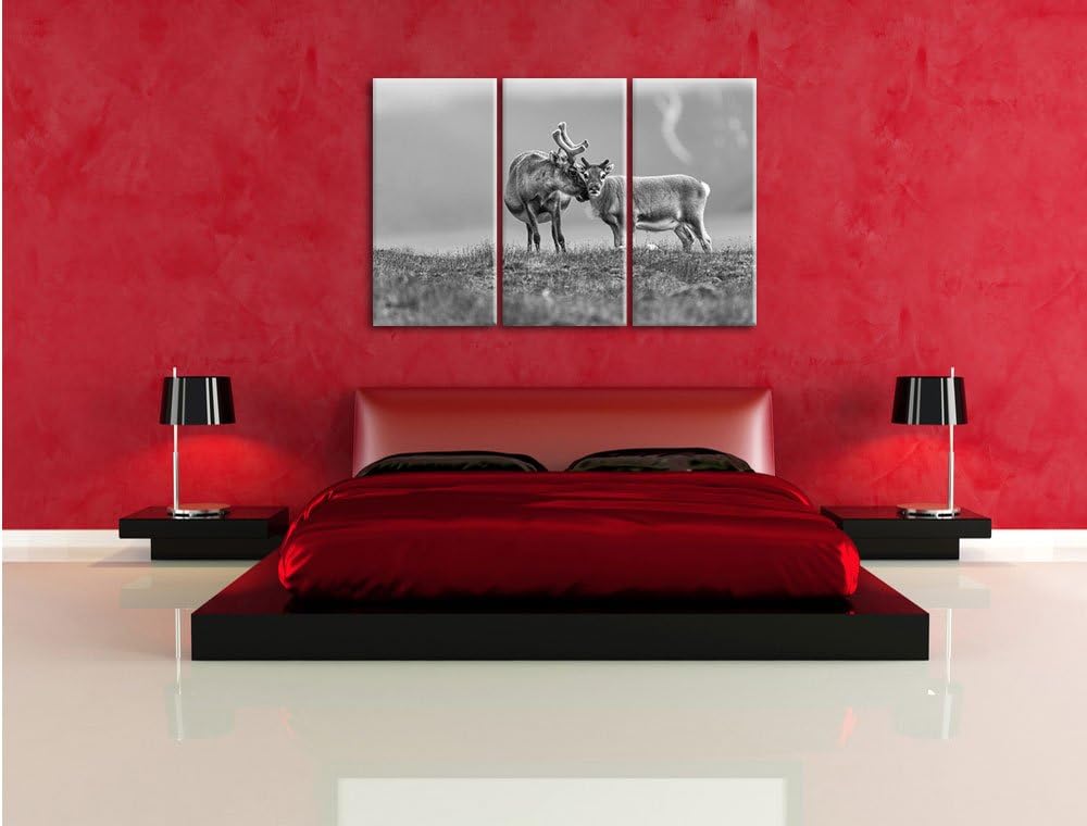 Pixxprint Rentiere die miteinander schmusen Kunst B&W 3-Teiler Leinwandbild 120x80 Bild auf Leinwand