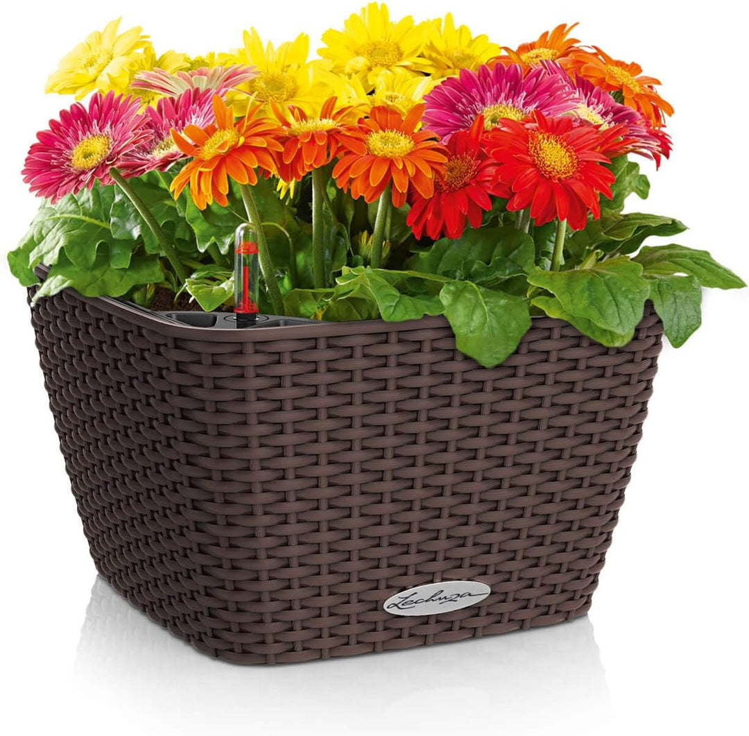 LECHUZA BACINO Cottage mokka 15455 30x30x18 cm Mokka, 30x30x18 cm Mokka