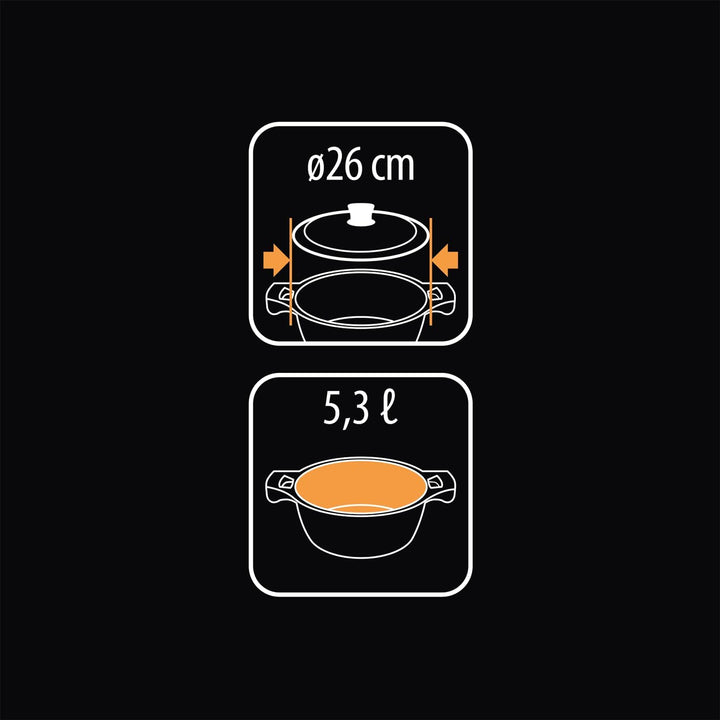 Metaltex Xpert Cooking Pot Made of High-Quality Cast Aluminium 26 cm with ILAG 3 Layers Non-Stick Co