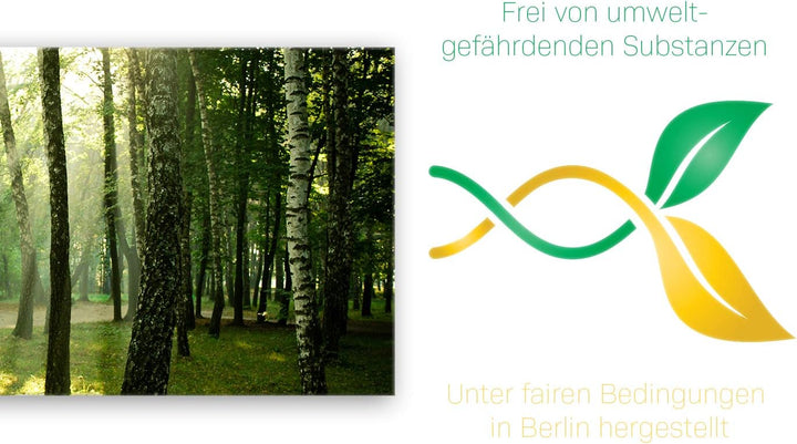 ge Bildet Bild auf Leinwand | Landschaftsbilder - Wald I in 100x40 cm als Panorama Wandbild | Wand-d
