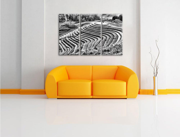 Pixxprint Monocrome, Chinesische Reisplantagen Treppenfelder 3-Teiler Leinwandbild 120x80 Bild auf L