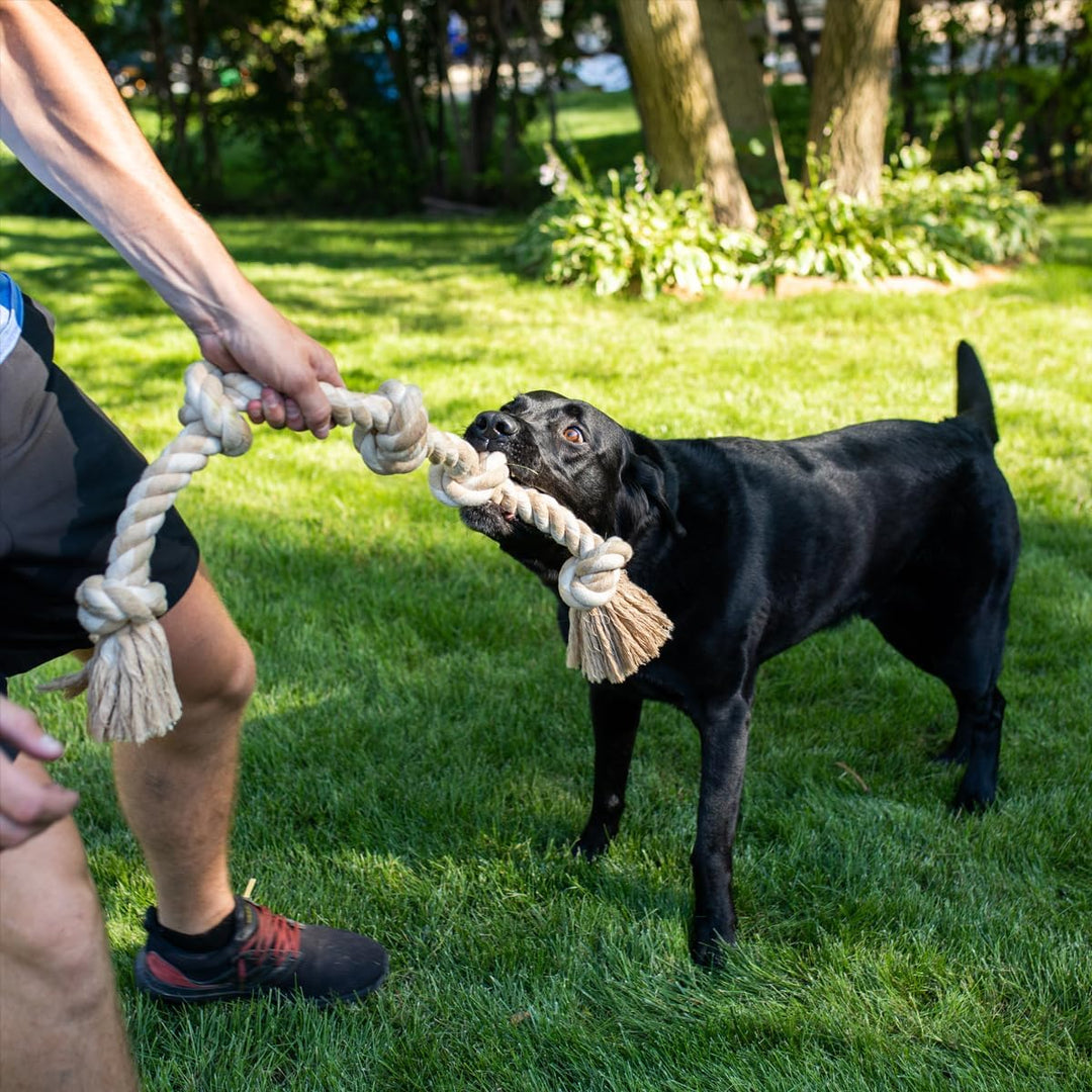 Fida Hundespielzeug aus Seil für aggressive Kauer, interaktives, robustes Hundespielzeug für mittelg