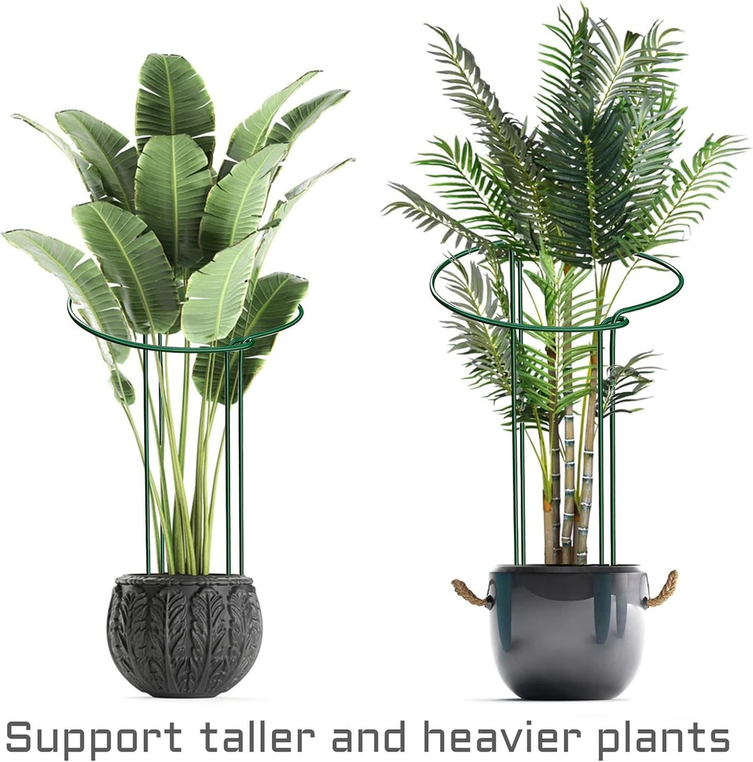 KAZITOO 6 Stück grosse 60cm hohe Bogen Pflanze Stützpfähle, 4mm starker Metallgarten unterstützt grü
