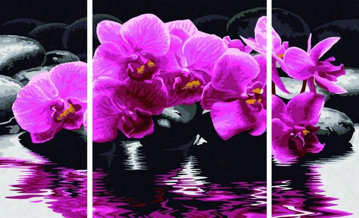 Schipper 609260603 Malen nach Zahlen, Orchideen - Bilder malen für Erwachsene, inklusive Pinsel und