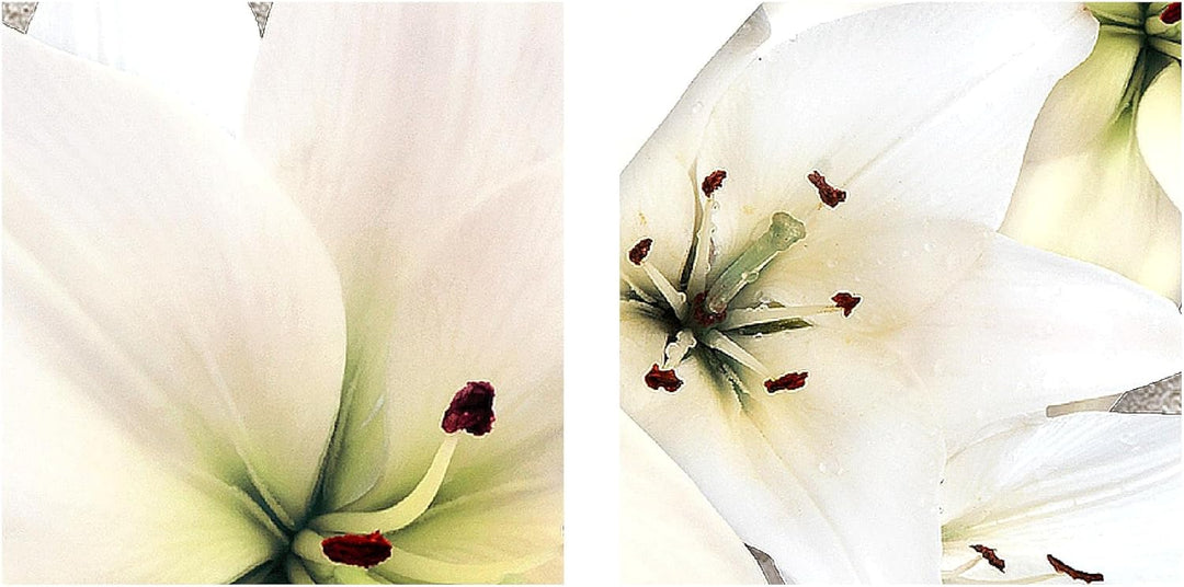 Runa Art Wandbilder Blumen Lilien Bild XXL Wohnzimmer Schlafzimmer Weiss Beige Sand 120 x 80 cm 3 Te