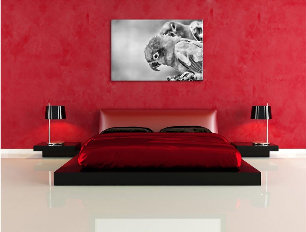 Pixxprint Papageienpärchen als Leinwandbild/Grösse: 100x70 / Wandbild/Kunstdruck/fertig bespannt, 10