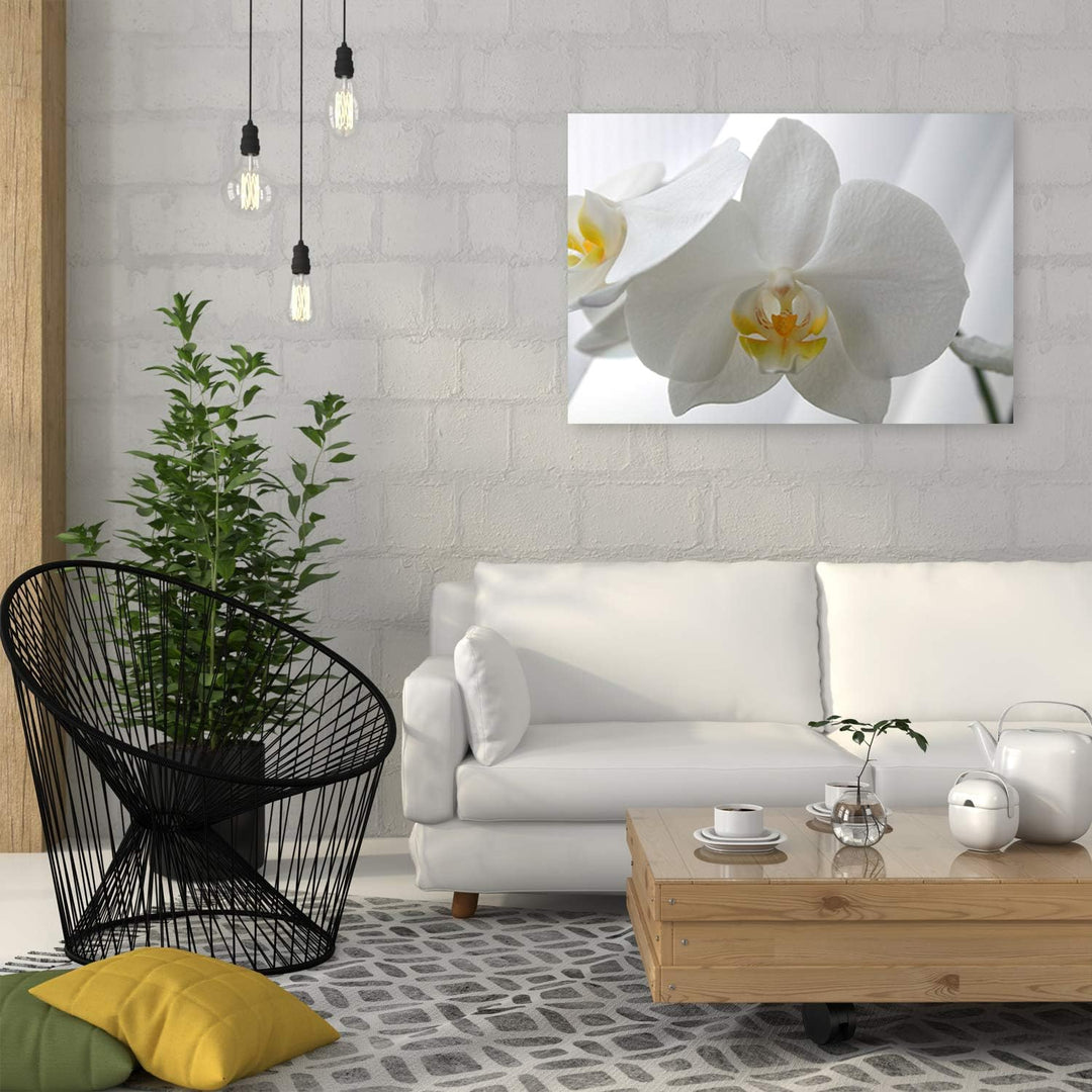 Feeby Wandbild Orchidee Druckbild Leinwandbild Pflanze Weiss 100x70 cm Leinwandbild 100x70 cm Weiss_