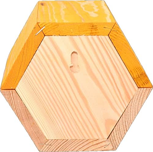 Esschert Fallen Fruits WA55 BEE Haussechskant, Braun