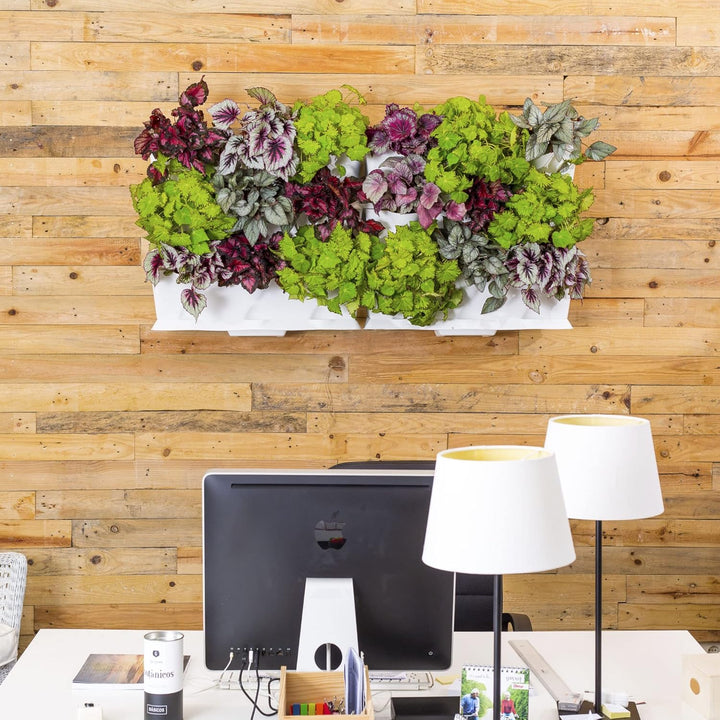 Minigarden Vertical 1 Set für 9 Pflanzen, erweiterbarer vertikaler Garten im Baukastensystem, freist