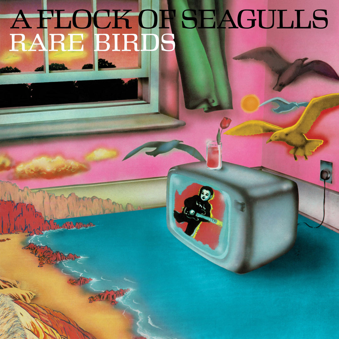 Rare Birds - 'a Flock of Seagulls' B-Sides, Edits, Vinyl