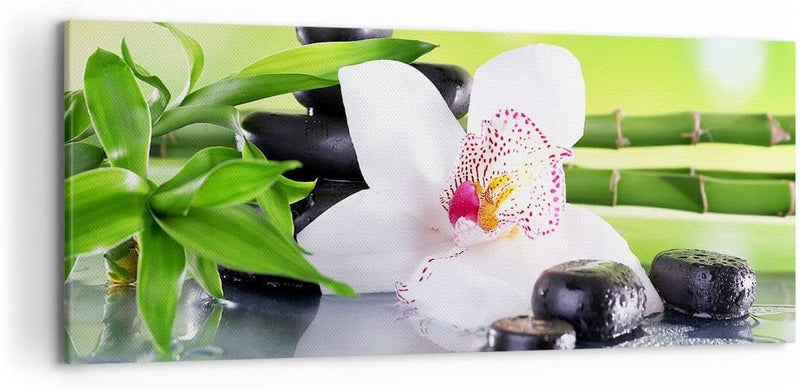 Wandbilder Dekoration Wohnzimmer blume orchidee Panorama Bilder auf Leinwand 120x50cm Leinwandbild m