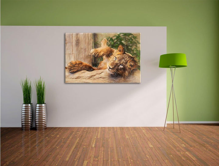 Pixxprint verspielter Kleiner Löwe als Leinwandbild/Grösse: 100x70 / Wandbild/Kunstdruck/fertig besp