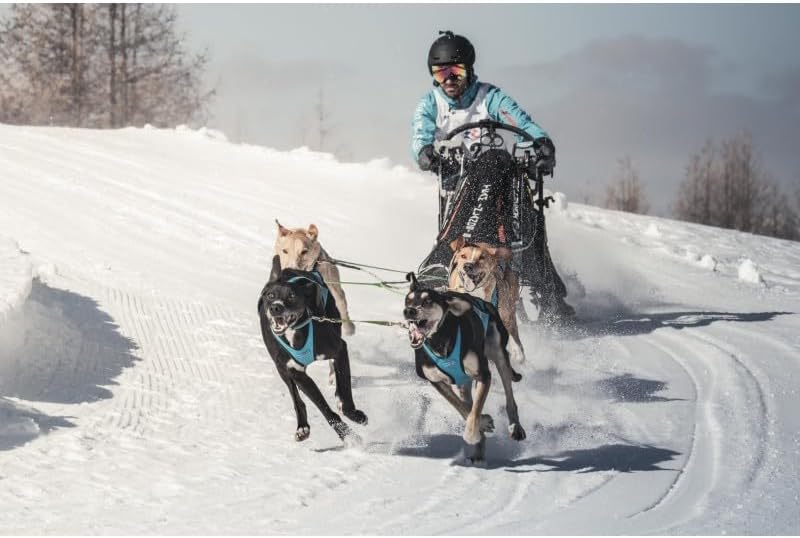 Inlandsis Canicross Wettkampfgeschirr Blizzard Beast XXL rot, XXL rot