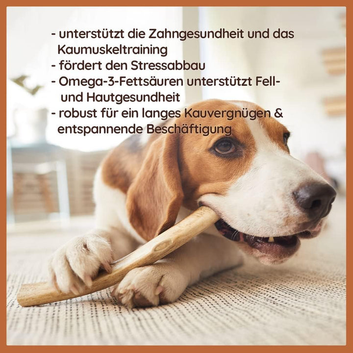 Geweihe für Hunde, Kaustangen Hund, Kauspielzeug Hund, Hunde Kauartikel - Salmon Hirschgeweih für Hu