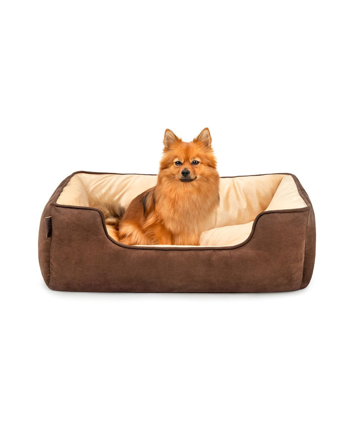 lionto 2-in-1 Hundebett Hundekissen Hundekörbchen Hundesofa, (M) 80x60 cm braun/beige L 80 x B 60 x