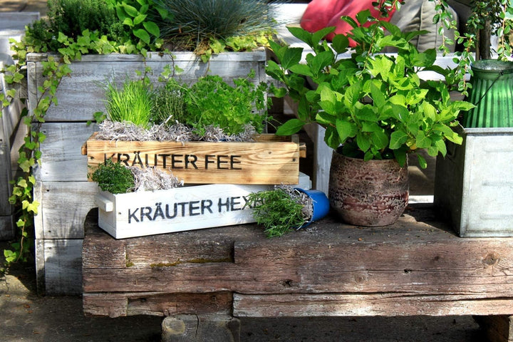 Dekorie Blumenkasten Pflanzkasten Massivholz Pflanzkiste Aufbewahrungskiste weiss oder geflammt Shab