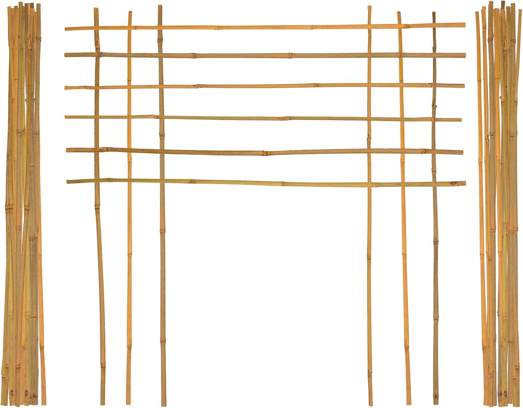 BigDean 50x Pflanzstab Bambusstab 105 cm x 8-10 mm Bambus Rankhilfe Pflanzstab Tonkinstab 100% Natur