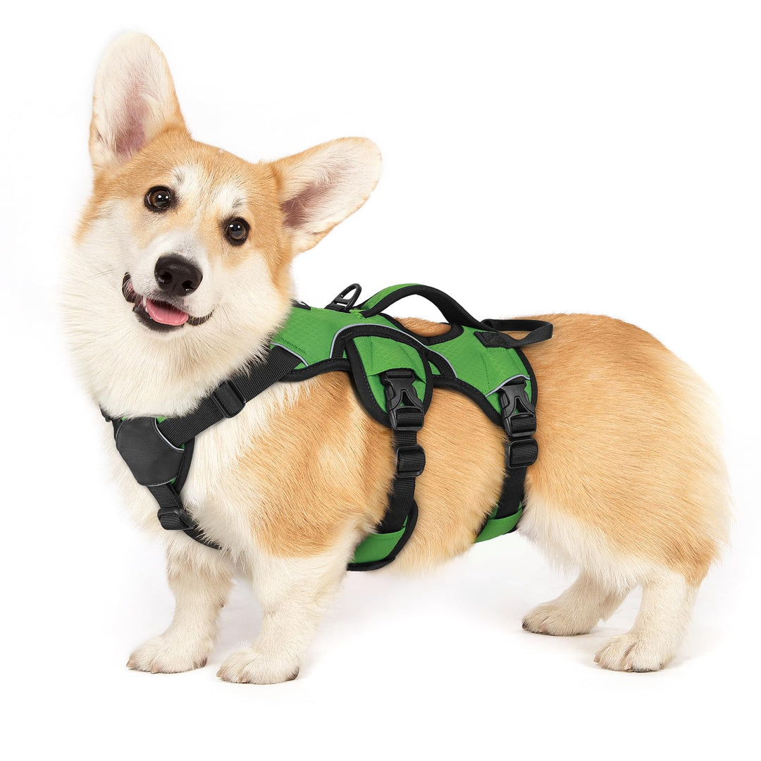 rabbitgoo Ausbruchsichere Hundegeschirr Kleine Hunde mit Griff, Anti Zug Sicherheitsgeschirr Hund At
