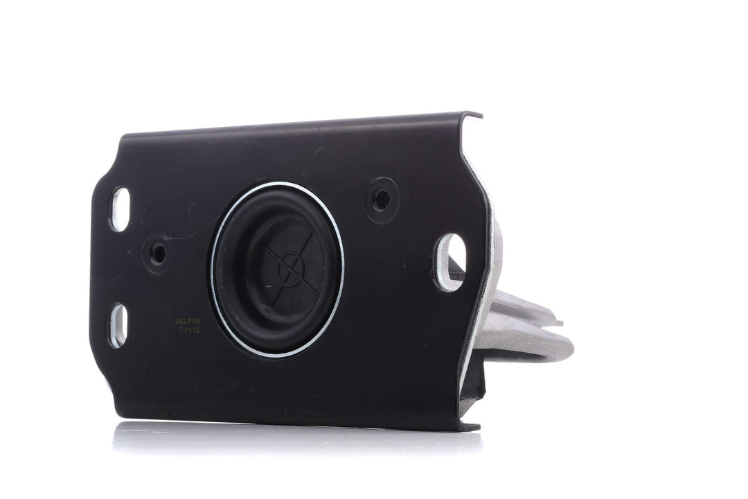 Delphi Lagerung Motor TEM043