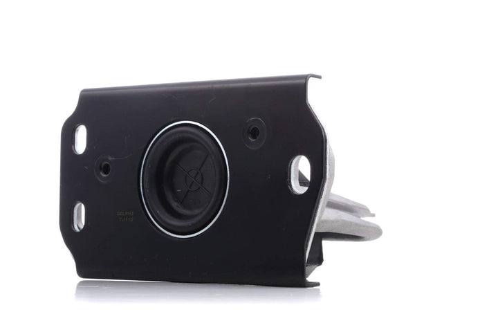 Delphi Lagerung Motor TEM043