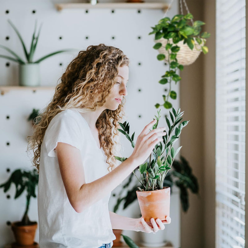 Relaxdays Blumenampel, 3er Set, Weide Korbgeflecht, handgefertigt, Folie, Eisenkette, Hängetopf HxD: