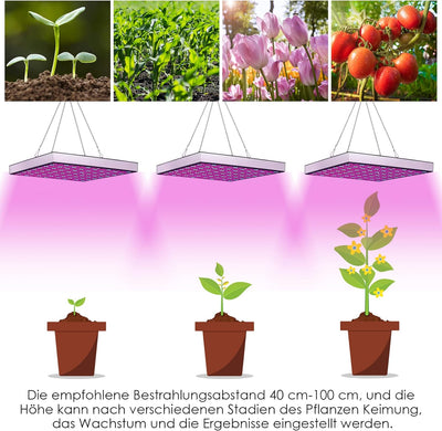 Lospitch LED Grow Lampe 15W, Vollspektrum Pflanzenlampe, 225 Rot&Blau LEDs Pflanzenlicht für Hydropo